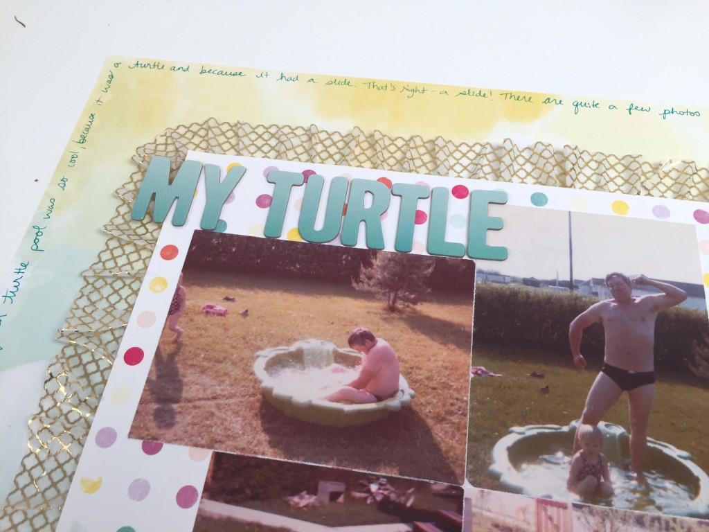 my turtle pool layout Alice Boll detail 2