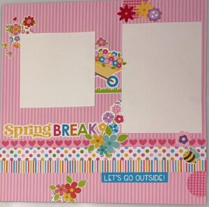 Love Bella Blvd and DoodleBug Pinks